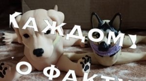 каждому по факту псу нужны собака, а собаке не всегда нужен пёс...