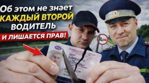 Об этом не знает каждый второй водитель и лишается прав