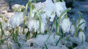 СП Добиваю недовязы 5/2026 Отчёт 8 с Мариной Стоговой