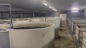 Всем привет. Простите меня я немного пропал. Не выкладываю видеоролики и фотки , просто под конец...