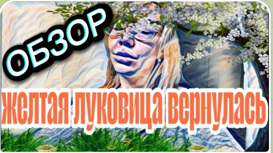 САМВЕЛ АДАМЯН, ОБЗОР ОТ ("ЛЕСНОЕ ЭХО"), ХВАТИТ ЗАВИДОВАТЬ ДИВАНКЕ, У ЛОШИКА НЕПОНЯТНОЕ ЗАБОЛЕВАНИЕ.. смотреть онлайн