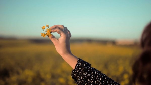 SUNO AI/ -Лепесток- -Видео Pexels-В песни использованы стихи из сказки Валентина Катаева