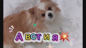 💥МИЛА НА ПРОГУЛКЕ / ДОМОЙ НЕ ХОЧЕТ, ВРЕДНИЧАЕТ