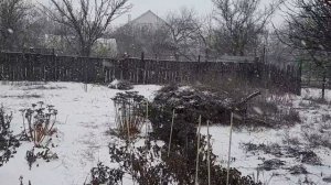 20. 02. 26 #Снег ❄ снежок ❄☃️