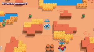 просто катка