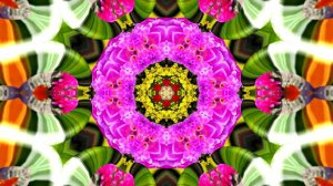 Футажи! Футаж Очаровательные фантастические пейзажи 10!