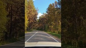 НА ГРАНИ С РЕАЛЬНОСТЬЮ