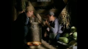 друзья навек!