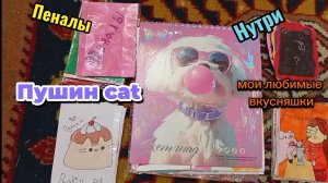 распаковка!!!Пеналы💗пушин🐱мои любимые вкусняшки 🤗и Нутри🐭(переходите в тг по ссылке в описании;)
