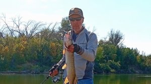 Распаковка посылки с очками поляризационными Nautilus A06