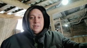 Немного нытья о жизни