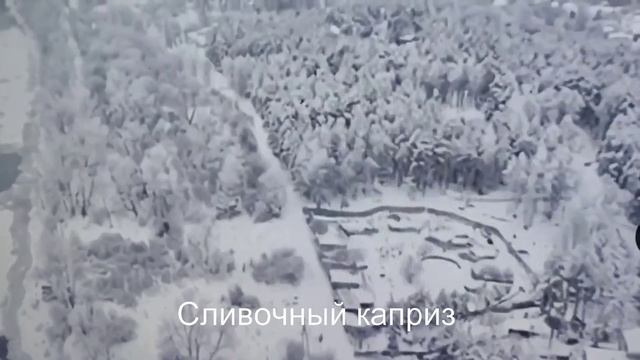 ВС РФ подняли флаг в окрестностях Святогорска