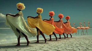 Соль на Волне Прилива