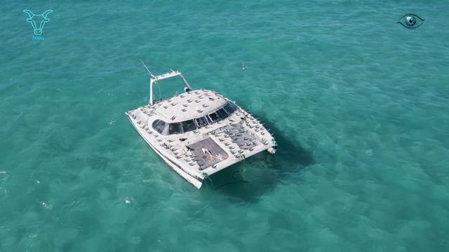 ТЕЛЕЦ ГОРОСКОП МАРТ 2026 года ПЕСНЯ -1. #гороскоп #music #astrology смотреть онлайн