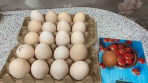 Двухжелтковые яйца