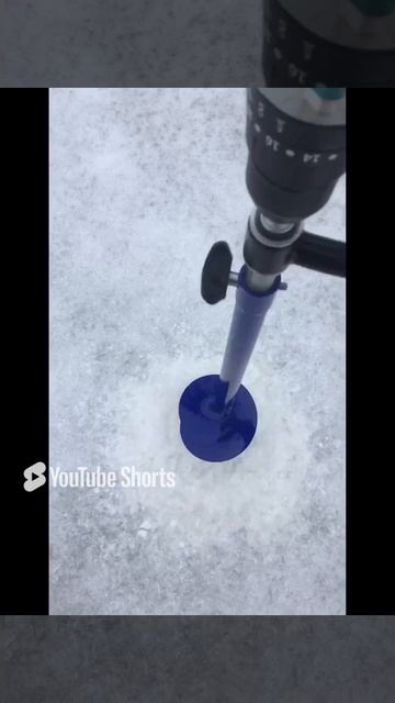 Рыбалка на озере Диком, деревня Хвойное, Мельниковского района Ленобласти