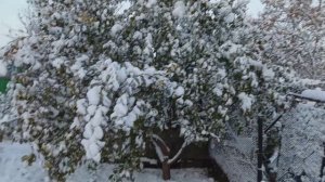 поздняя осень