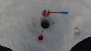 РЫБАЛКА на МОРМЫШКУ в МОРОЗ и ВЕТЕР. ГЛУХОЗИМЬЕ...