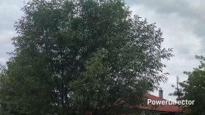 Московская обл. г.Зарайск 12.06.25 г.