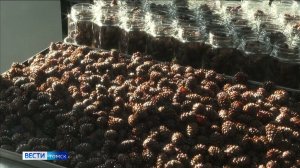 Вести-Томск, выпуск от 19.02.2026 21:10