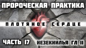 Каменное сердце. Пророческая практика часть 17.Иезекииль гл 11.