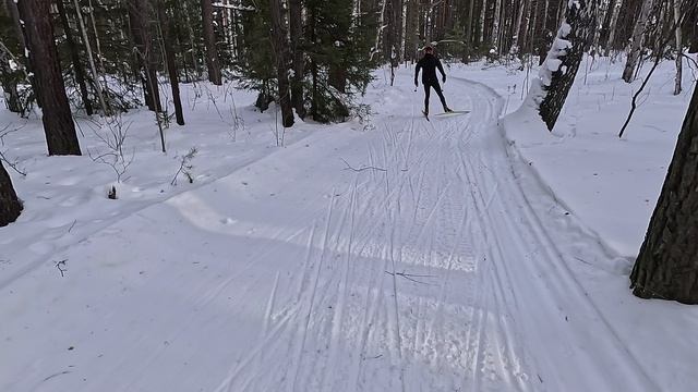 на лыжах смотреть онлайн