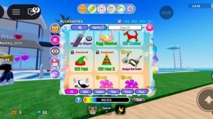 обновление в игре с котятами