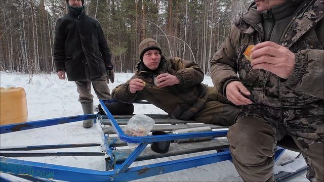 Охотники на волков