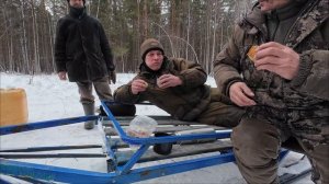 Охотники на волков