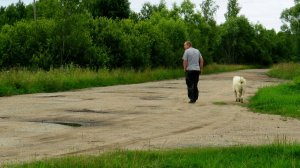 До ремонта дорога была такой