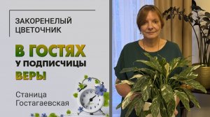 В гостях у Веры. ст. Гостагаевская. Орхидеи - любовь на всю жизнь. Как растения переехали с Камчатки