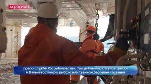 ОХОТОМОРСКАЯ ПУТИНА: РЫБАКИ НАРАЩИВАЮТ ВЫЛОВ МИНТАЯ И СЕЛЬДИ•НОВОСТИ КАМЧАТКИ