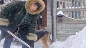 Боремся со снегом. Посадила бегонии. В мечтах о красоте. Ревизия растишек.