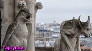 Разбор Терминов Волшебной Культуры от 20.02.26