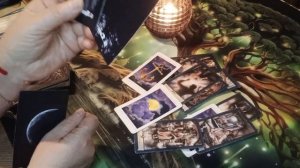 Что там мышки за спиной у кошки затевают🐈❓🪤🐀🐁