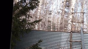 белки бечером