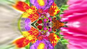 Футажи! Футаж Очаровательные фантастические пейзажи 8!