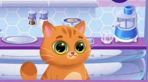 КОТЁНОК БУБУ И МИМИ