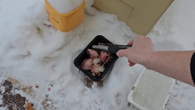 🔥Бычковский ест и отлеживается в котодомике. Клёпа ворует головы! смотреть онлайн