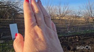 319107.скоро в огород