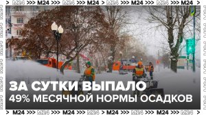 С начала суток в Москве выпало 49% месячной нормы осадков