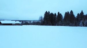 Алиса - Стать севера (Фан)