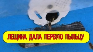 КОНТРОЛЬ КОРМОВ,БЕЛКОВАЯ ПОДКОРМКА