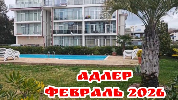 ✅Стоит ли ехать в Адлер в феврале? Цены, жилье и ОПАСНЫЙ шторм #адлер2026 #штормадлер #отдыхвроссии