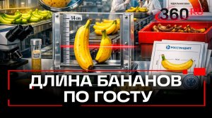 Длина импортных бананов должна составлять не менее 14 см - ГОСТ от Росстандарта