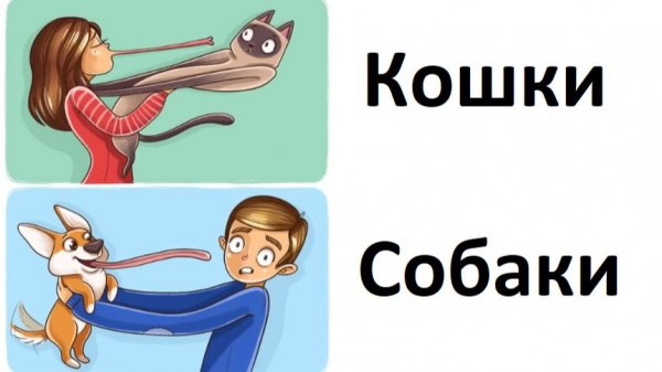 Хозяин кошки и хозяин собаки