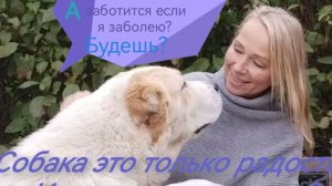 А мы в ответе за тех, кого приручили?