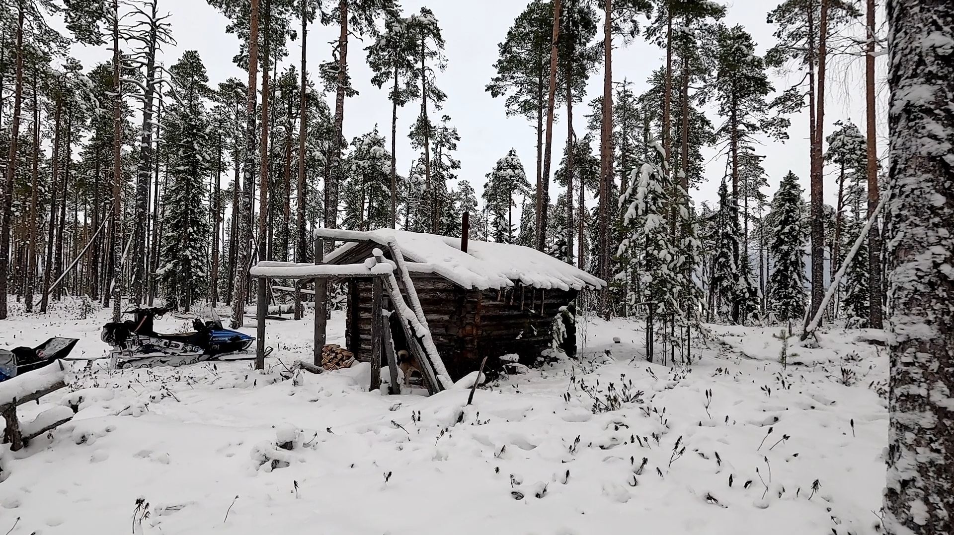ЖИЗНЬ В ТАЙГЕ ЗИМОЙ: ПРОВЕРКА ЖЕРЛИЦ И ВЫЖИВАНИЕ. ИЗОЛИРОВАННАЯ ИЗБа В СНЕГУ. ТАЁЖНЫЙ БЫТ. РЫБАЛКА смотреть онлайн