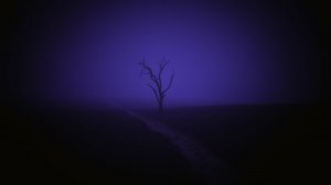 ✧ Эмбиент Безмятежности • Дельта-волны • Снятие Тревоги и Внутреннего Напряжения за 5 минут