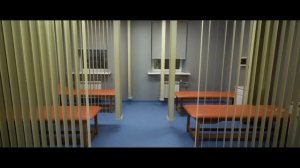 Клиника Аваева с историей (13м)